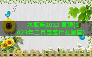 水瓶座2022 离婚(2023年二月宝宝什么星座)